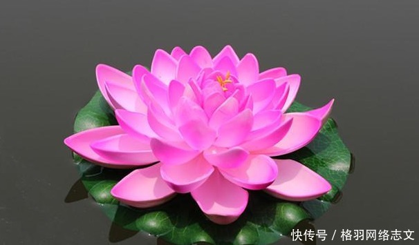 佛祖|佛说:一个人有没有福报,全凭一个字,能做到的人,福报才会来临