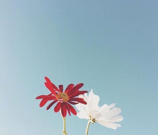  阳光|早安心语正能量阳光说说，开启元气满满的一天