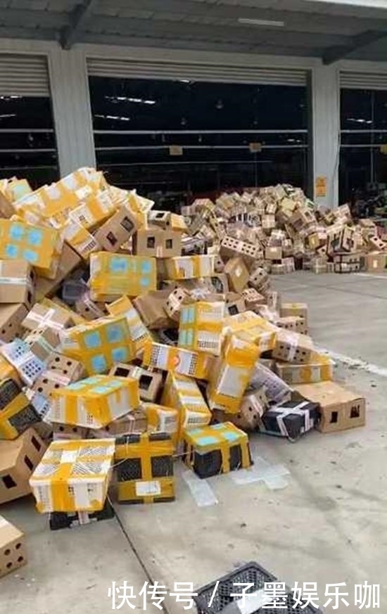 东兴物流园|数千宠物死在韵达滞留园：现场包裹遍地 恶臭难闻