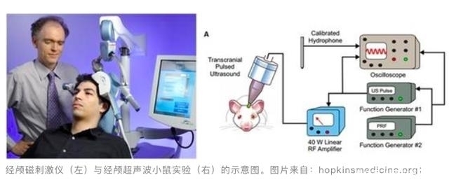 内藏|美国民众拒绝戴口罩，宣称口罩内藏5G天线，将控制大脑导致患癌