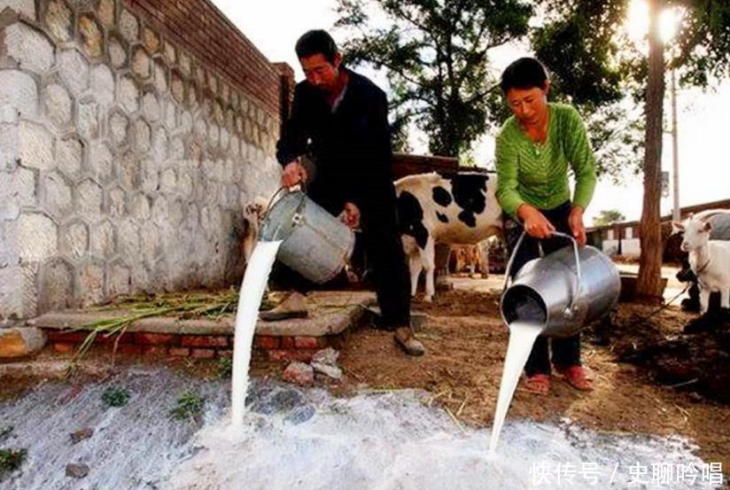 可惜|韩国牛奶无处可销，倒掉觉得非常可惜，于是想让我国低价接盘？