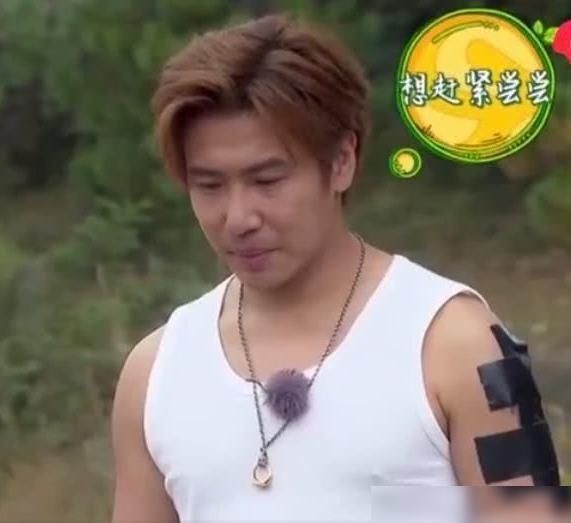  明星|有纹身不能上综艺，看到各位明星的处理方式，太机智了