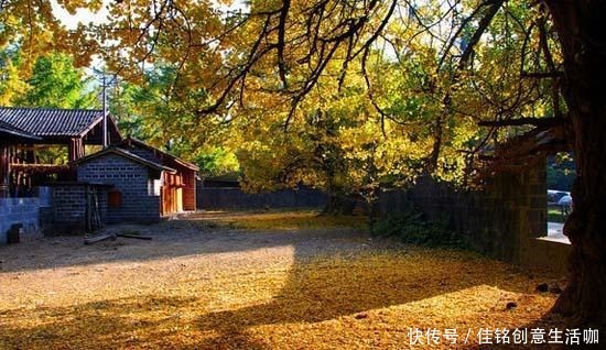 故事|味道好有故事 腾冲这些美食你吃过吗