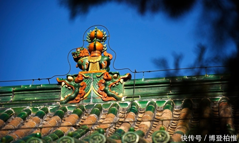 莫须有|骂皇上,擅杀大将,干预立太子?汤阴揭秘岳飞“莫须有”死刑判决