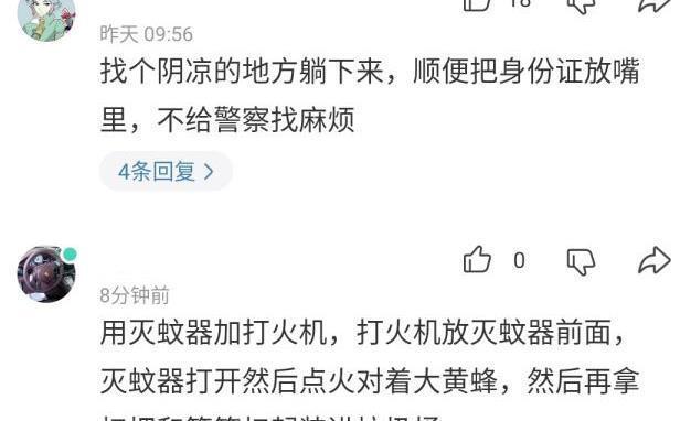  马蜂|“被这么大的马蜂蜇了，我还有机会吗？”哈哈哈找个阴凉地躺下吧