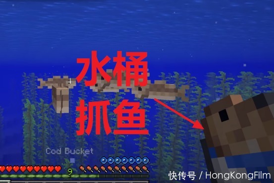 世界|我的世界:那些关于鱼的有趣小知识,河豚最开始没有刺?