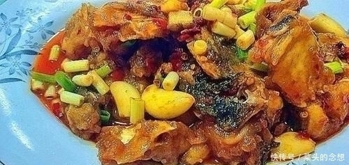  鲤鱼|这鱼比鲤鱼好吃，比甲鱼营养，8元一斤，却常常无人问津！