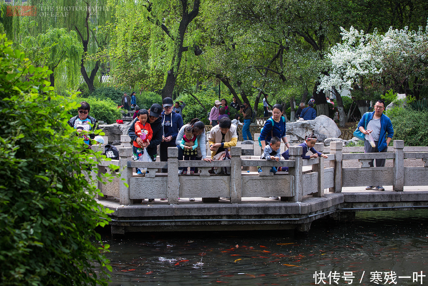  秦琼|济南五龙潭，据说潭底是唐代名将秦琼府邸，深不可测至今无人敢下