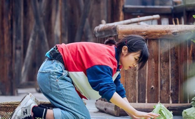  生活|《向往的生活》收视率直线下滑，无法延续好口碑，原来是这个问题