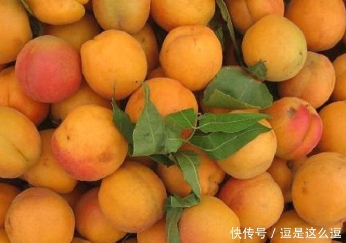 富贵|芒种前,不论贫穷或富贵,多吃这5种水果,顺应时节身体倍棒!