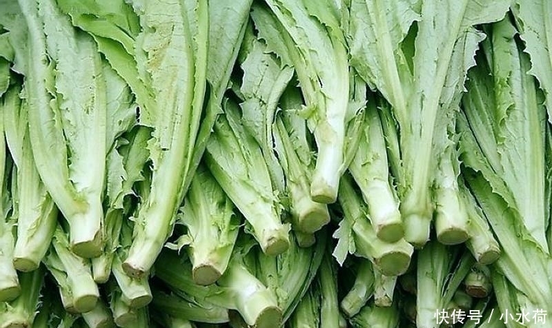 虫卵|5种最“脏”的蔬菜,虫卵多肉眼却看不见,第3种我们经常吃