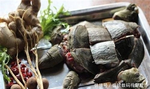  食用|这几道菜做法残忍, 不应该被食用, 最后一道让人胆颤