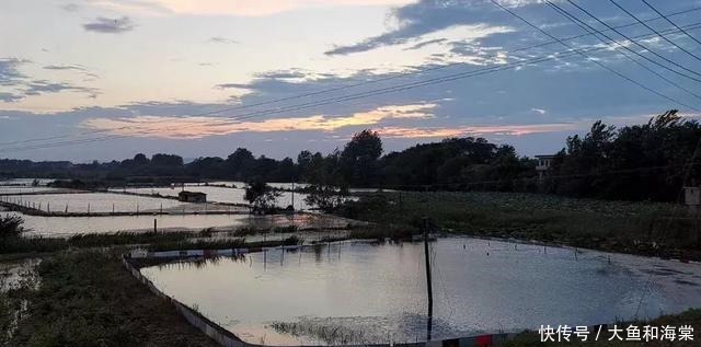 日记|网警抗洪日记——在中间