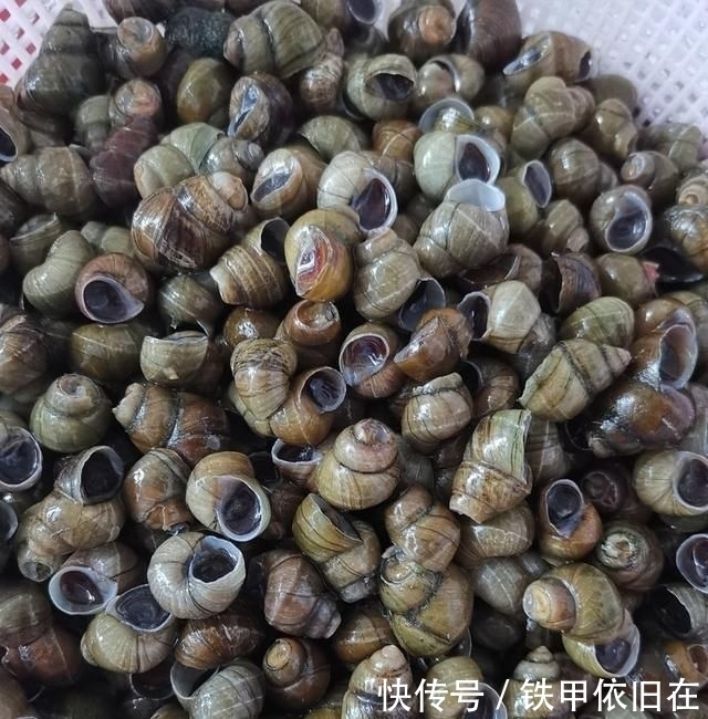  时别|炒田螺时别只会加水了,换成“它”,去腥提鲜味,一人一盘不解馋