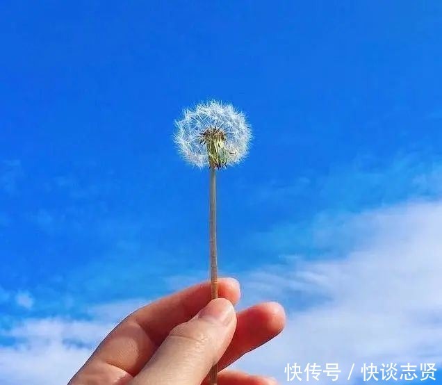  让自己|三观很正的短句，生活感悟！