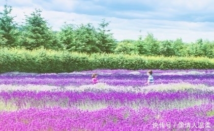 特发|9月底横财大发特发，命好运好，事事如意，好运一箩筐4大生肖