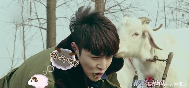  担当|《极限挑战》首期极限男人帮变味，搞笑担当反成了张艺兴