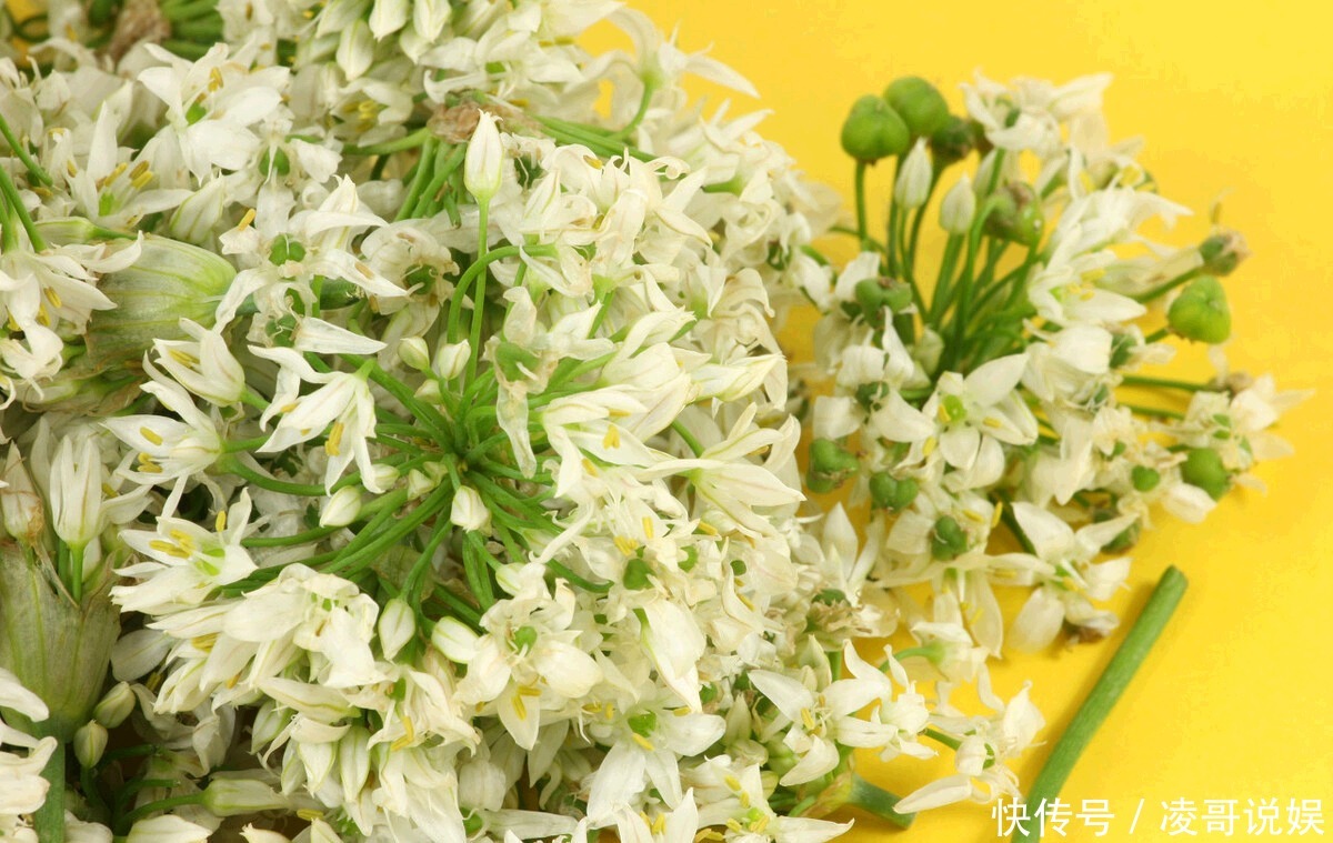 饺子|韭菜花不只能做酱,用它包饺子绝对新颖又美味