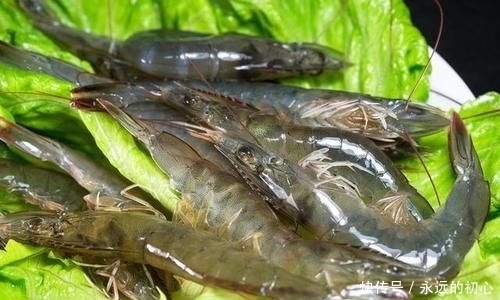 不对|鲜虾保存直接放冰箱是不对的,教你正确做法,放1个月鲜美不发黑