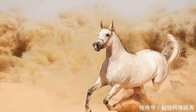 关羽|古代最厉害的5匹战马连关羽坐骑也只排第二第一很少有人知道