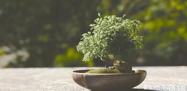 季节|人这一生,最难活出自己的季节