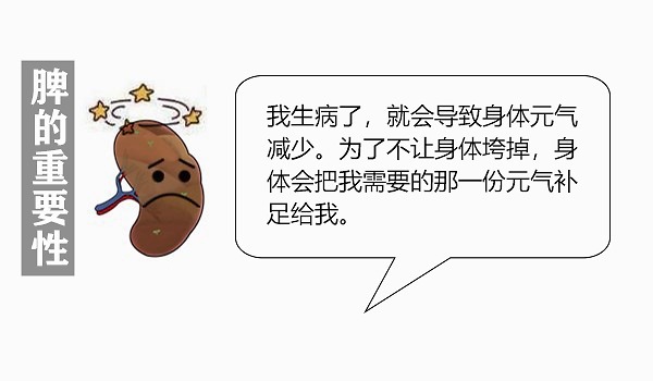 早餐|大白话说中医第七十五期|五脏之母是脾胃,七味早餐来防卫