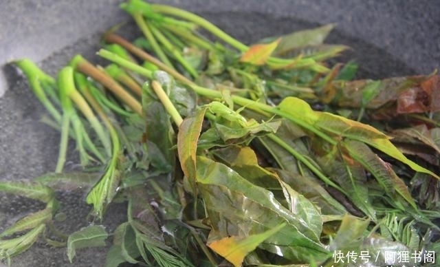 别省|炒菜前,这6种蔬菜必须焯水,为了家人健康,再懒也别省这一步!