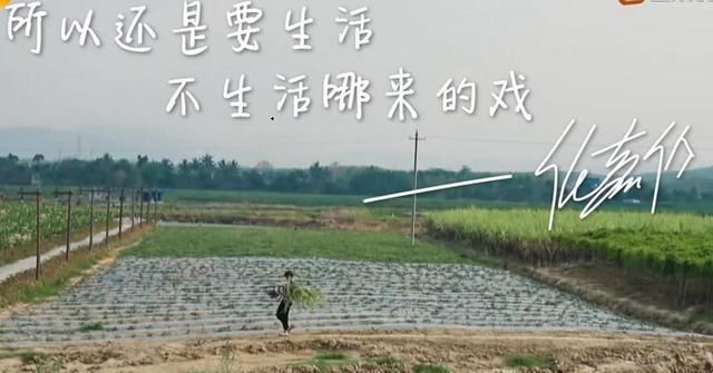 谭松韵|任嘉伦陆绎人设崩塌,谭松韵崩溃大喊“任国超”,节目组都受不了