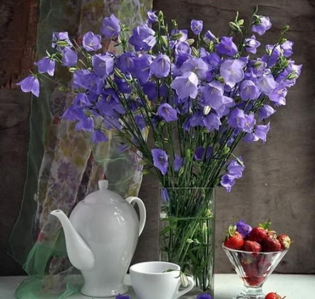  莫名|发人深省的哲理句子，精致有个性，莫名的想哭！