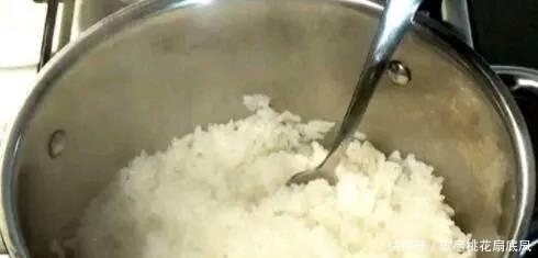 中国|吃中国菜犯的错是什么,外国网民的回答,令人捧腹