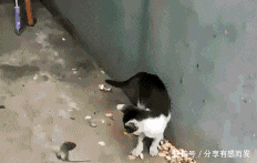  忘记|爆笑GIF: 男演员太贴心了, 吻玩还不忘记帮女演员擦嘴