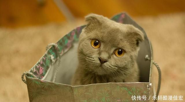 前任|九月份也是爱情月,这3个星座对旧爱念念不忘,有信心让前任回头