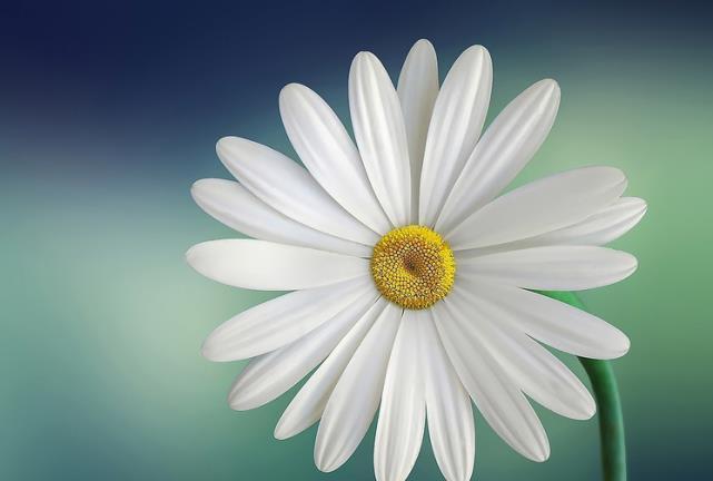  双子座|十二星座酒醉后原来是这样，双子座睡马路边，狮子座人设崩塌