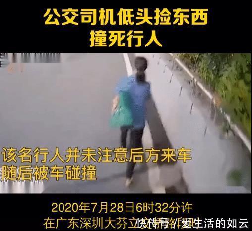 对半分|公交司机捡水杯时撞死路边行人！责任对半分合理吗？