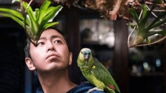  天才|那些参加过《最强大脑》的天才们，后来都去做什么工作了说出来你可能不信