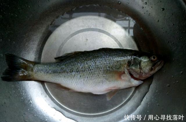上桌|鲜香嫩滑的清蒸鲈鱼,简单一蒸端上桌,营养丰富真下饭,安排