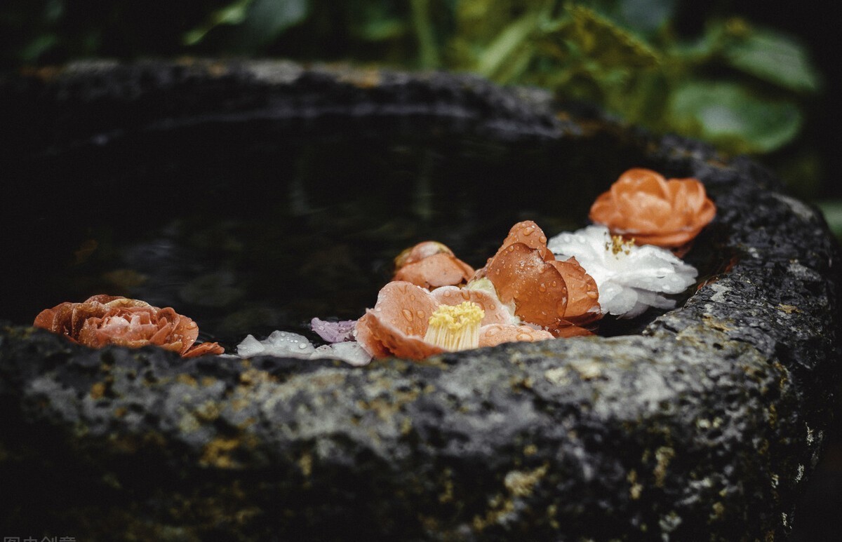 烟消暮雨残|心的站台,回首之时,落花的碎沾满了尘埃