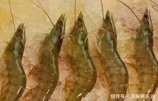 海鲜|海鲜大全, 你能认出多少