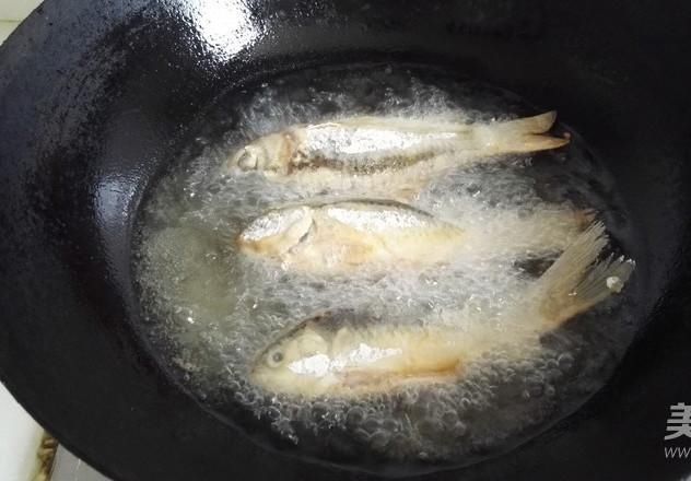  优质的鲫鱼|营养比甲鱼高，只能是它，红烧煲汤都好吃，5块一斤却无人问津