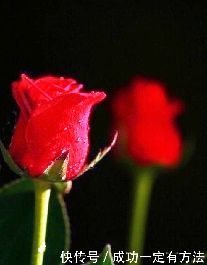 走心|经典走心的句子人生很多事，不是不懂，只是无奈，这就是生活