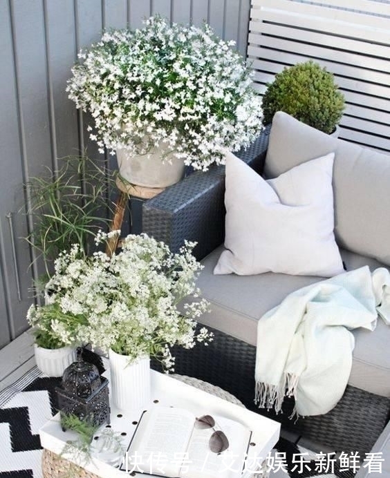 暮年|你我暮年,有个小院,足矣!