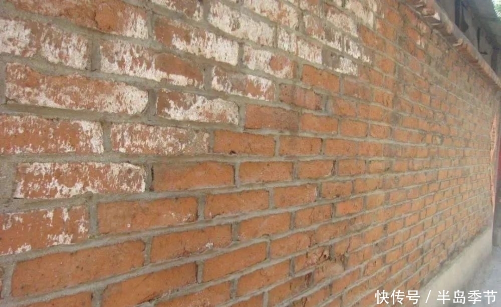  舒适|酒驾撞墙，墙也有责任？法院判决极度舒适！