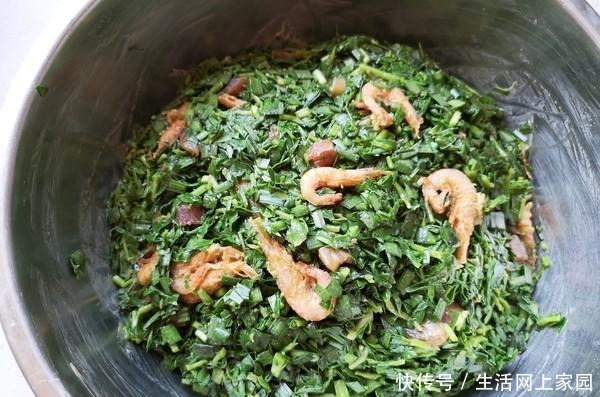 绿色|这菜就算吃过,也叫不出来名字,绿色纯天然,蒸包子最好吃了