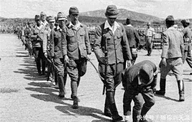  波士顿|“波士顿事件”，是否跟“自由之子”有关！