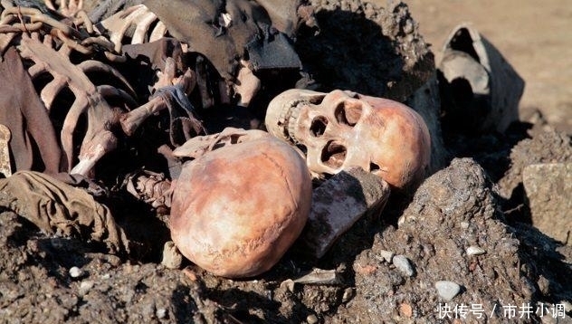 残忍|10个残忍的事迹