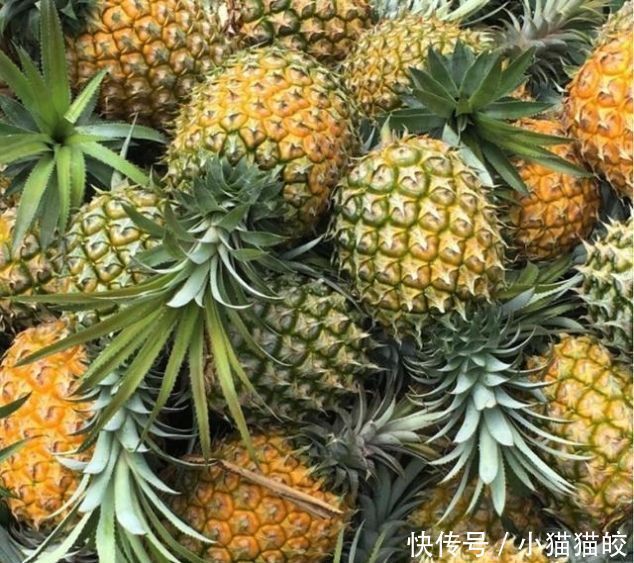 买完|买完菠萝回来这么吃,更加香甜可口,赶紧学起来