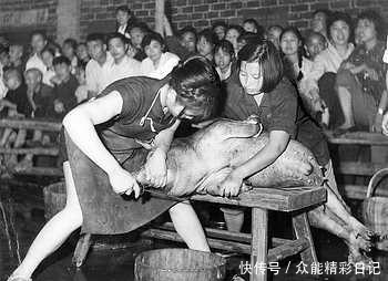  记录|老照片记录 五十年代女子杀猪的瞬间