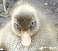  分手|开心一刻: 叔叔, 我和你儿子分手两个月了, 你别再送我东西!