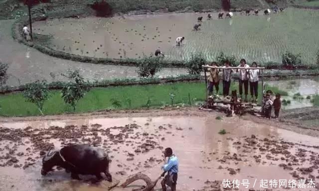 样子|80年代的中国农村是什么样子的 90后都没见过!