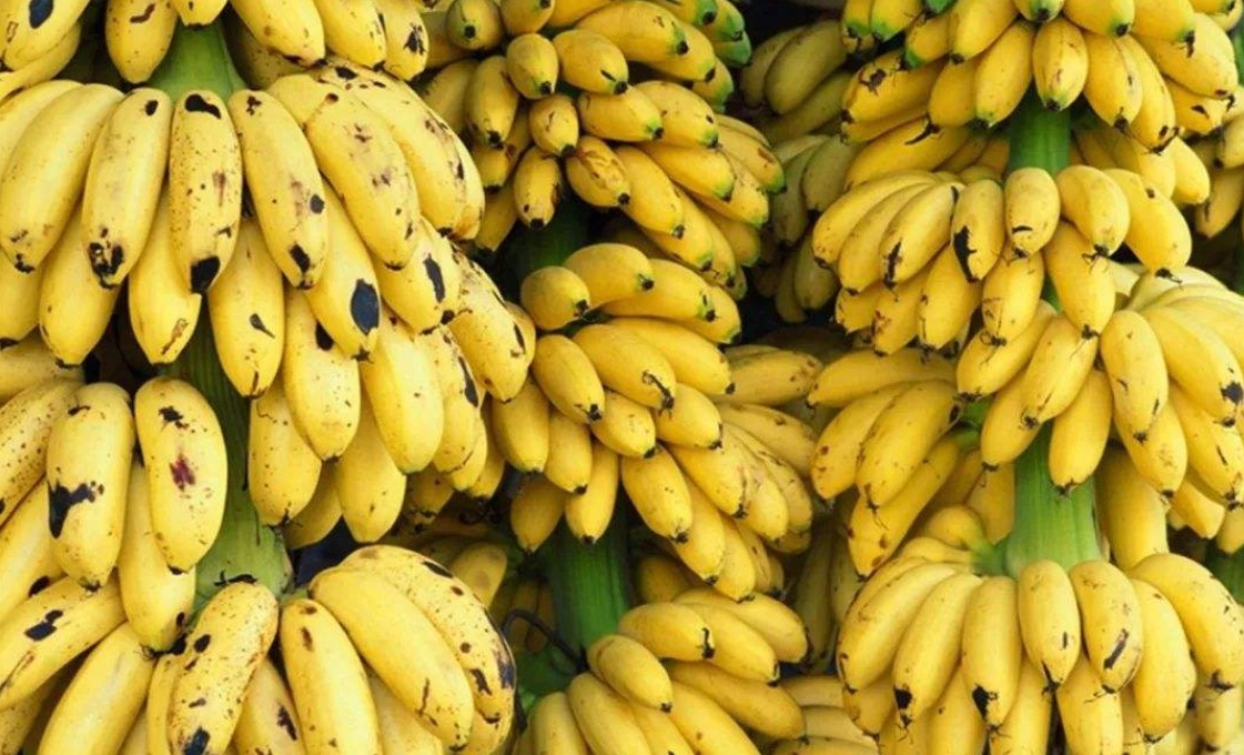 现黑点或者|香蕉上的黑点是什么?能不能食用?